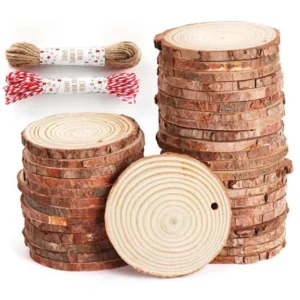 Natural Wood Slices Craft Wood Kit with Hole Wooden Circles Tree Slices for Arts and Crafts Christmas Ornaments DIY Crafts 10Pcs