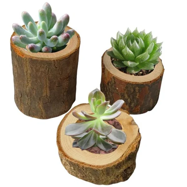 1PC Mini Birthday Cake Candle Stand, Creative Pure Manual Wooden Bark Candlestick, Indoor Flower Pot Home Decoration Ornament - Image 2