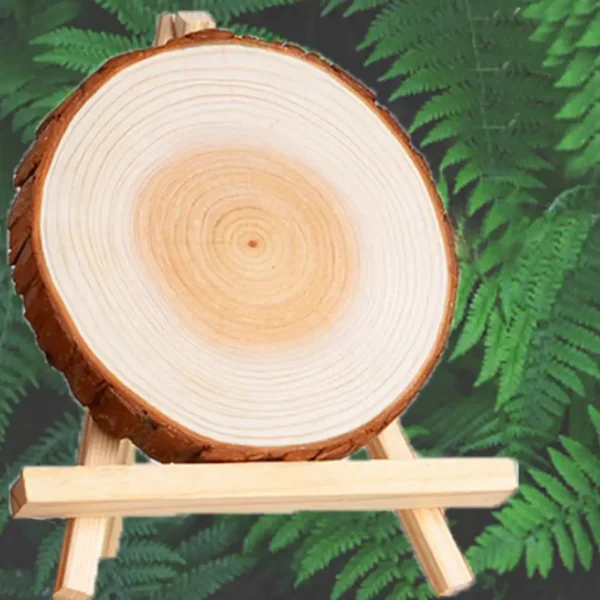 Natural Wood Slices Craft Wood Kit with Hole Wooden Circles Tree Slices for Arts and Crafts Christmas Ornaments DIY Crafts 10Pcs - Image 4